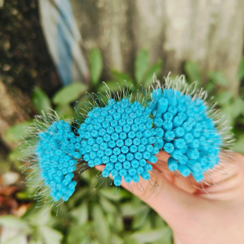 Túm hạt đậu khoá trục không nút thắt 100 hạt gjah999