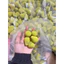 Mút đánh nền trang điểm mini puff mềm mịn không cứng ( minhonshop ) -