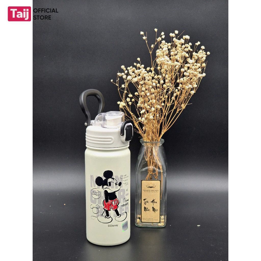 Bình Nước Giữ Nhiệt Trẻ Em Disney 500ml, Hình Gấu Dâu, Vịt Donald, Chuột Mickey, Elsa