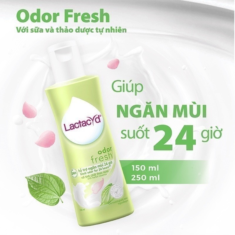 Ảnh Bộ 2 chai Dung Dịch Vệ Sinh Phụ nữ Lactacyd Odor Fresh Ngăn Mùi 24H 250ml/chai 4