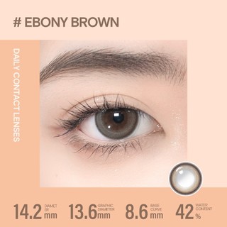 10 chiếc Kính áp tròng Kilala lens 1 ngày màu nâu Ebony Brown DIA 14.2mm có độ (0-8)