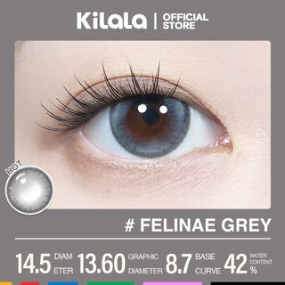 10 chiếc Kính áp tròng Kilala lens 1 ngày màu nâu Orange Brown DIA 14.2mm màu xám Felinae Grey DIA 14.5mm có độ (0-8)