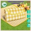 Thảm Dã Ngoại Picnic Hoạt Tiết, Thích Hợp Đi Du Lịch Đi Phượt Chụp Ảnh, Bạt Trải Cắm Trại Gấp Gọn Agnite 3596