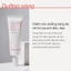 Kem dưỡng ẩm làm sáng chống nắng cho da INNISFREE Cherry Skin-Fit Tone-Up Cream SPF 50+PA++++ 10ml