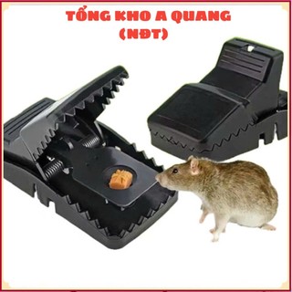 [COMBO 10] Bẫy chuột màu đen đánh bắt chuột mọi nơi thuận tiện,  BẪY CHUỘT THÔNG MINH - BAY344