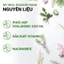 Mặt nạ giấy dưỡng da Hàn Quốc Trà Xanh innisfree Green Tea Energy Mask 22ml