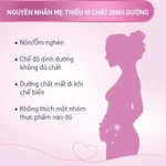 Bộ 3 Thực phẩm bảo vệ sức khỏe Elevit bổ sung Acid Folic, Sắt, Canxi, Các Vitamin và Các khoáng chất (30 Viên/Hộp) — ảnh 6