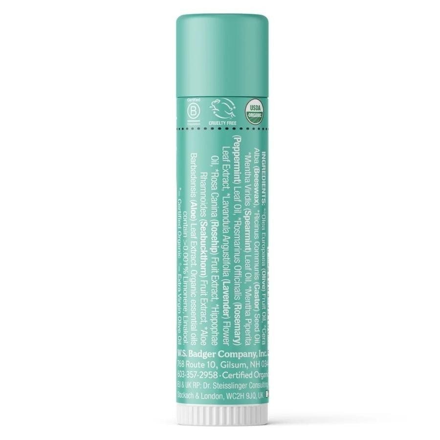 Ảnh Son dưỡng môi hữu cơ Highland Mint BADGER Lip Balm USDA Organic - 4.2g 1