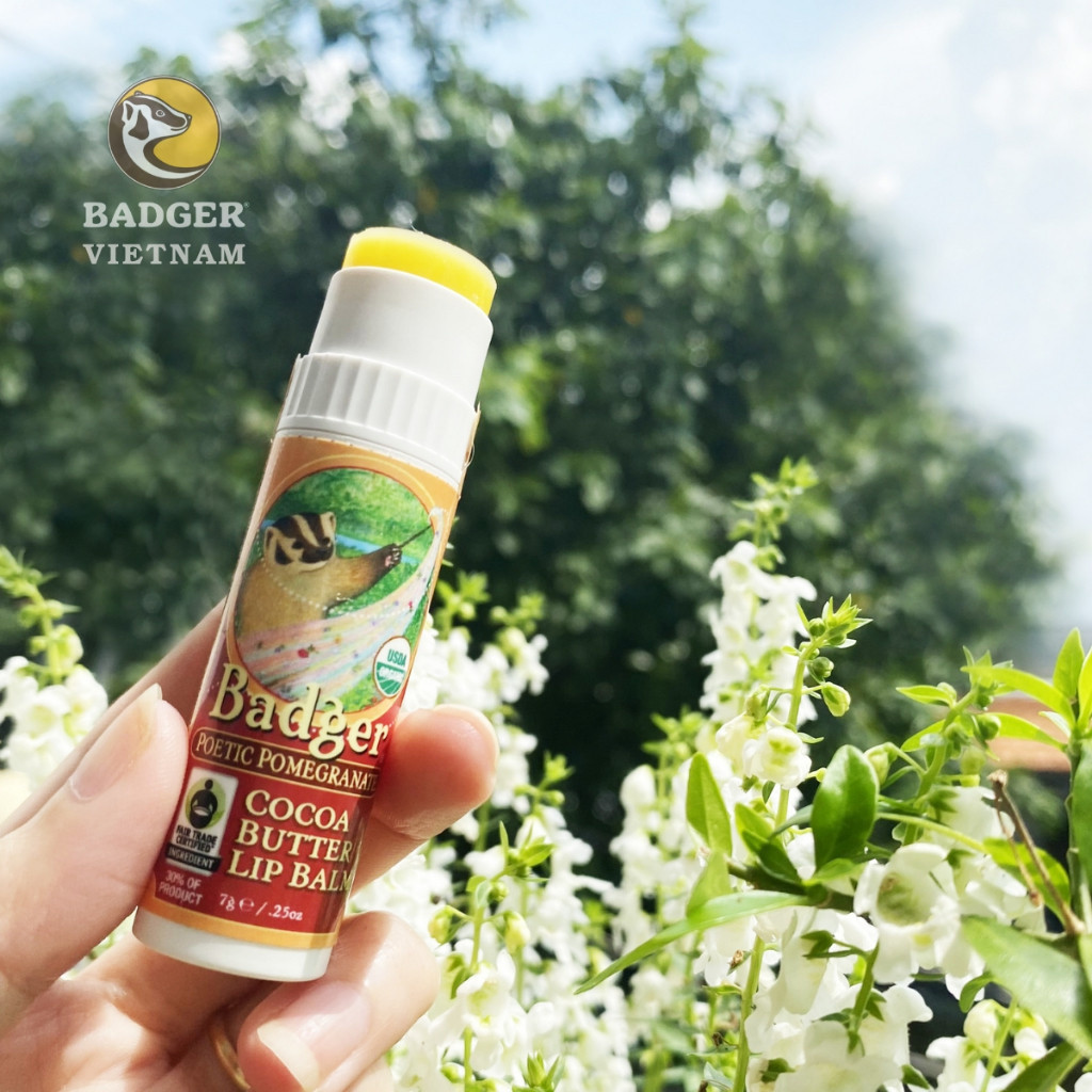 Ảnh Son dưỡng môi hữu cơ BADGER Lip Balm USDA Organic - 4.2g 2