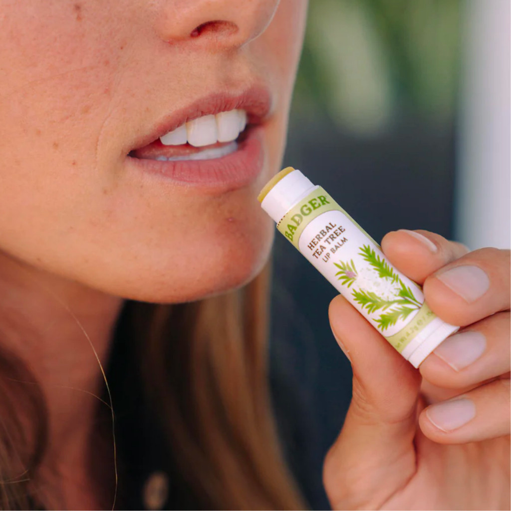 Ảnh Son dưỡng môi hữu cơ BADGER Tea Tree & Lemon Balm Herbal Lip Balm USDA Organic - 4.2g 2