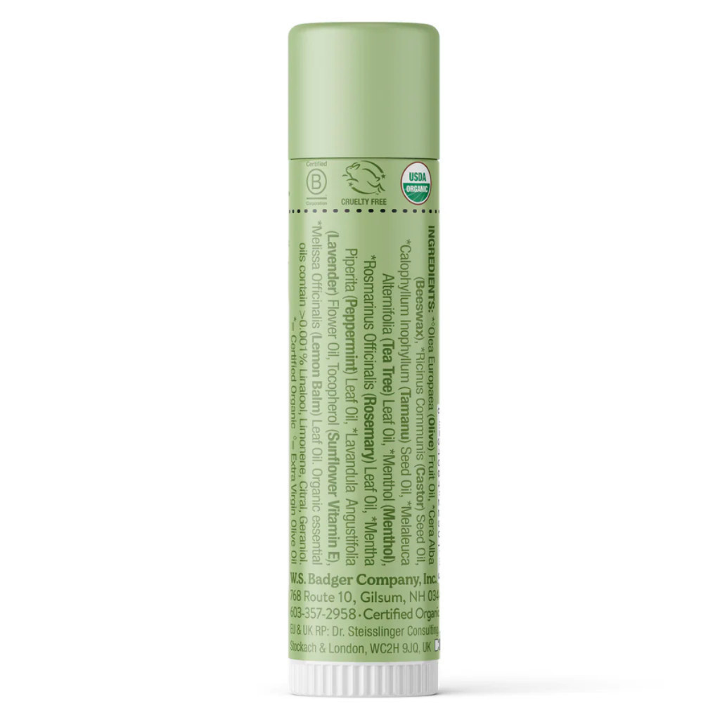 Ảnh Son dưỡng môi hữu cơ BADGER Tea Tree & Lemon Balm Herbal Lip Balm USDA Organic - 4.2g 1