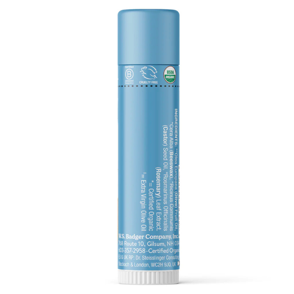 Ảnh Son dưỡng môi hữu cơ BADGER - Classic Unscented Lip Balm USDA Organic - không màu không mùi 4.2gr 1
