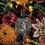 Nước hoa Diptyque Doson EDP 10ml - VIP PERFUME