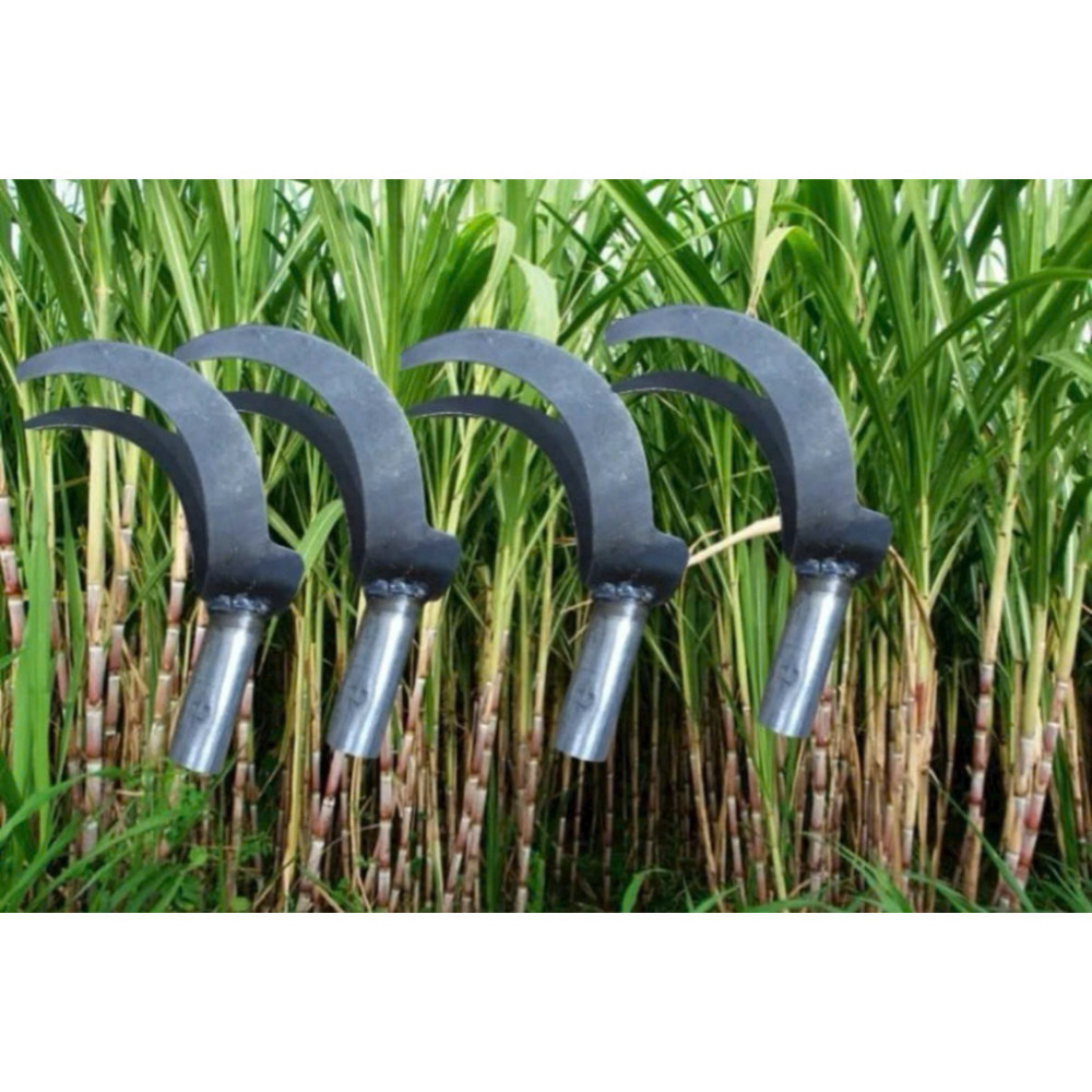 liềm dóc lá mía làm từ thép ntt