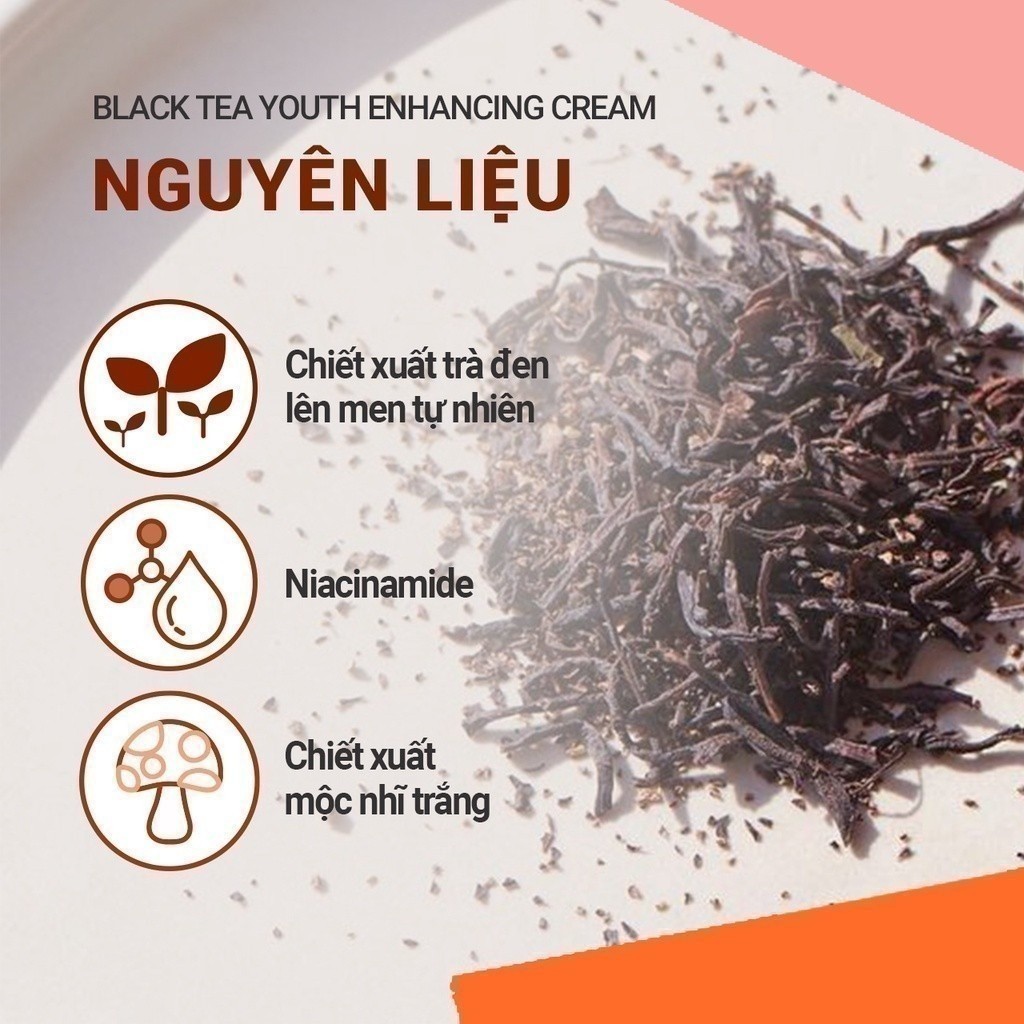 (Quà tặng không bán) Kem dưỡng da ban đêm ngăn ngừa lão hóa từ trà đen innisfree Black Tea Youth Enhancing Cream 15mL
