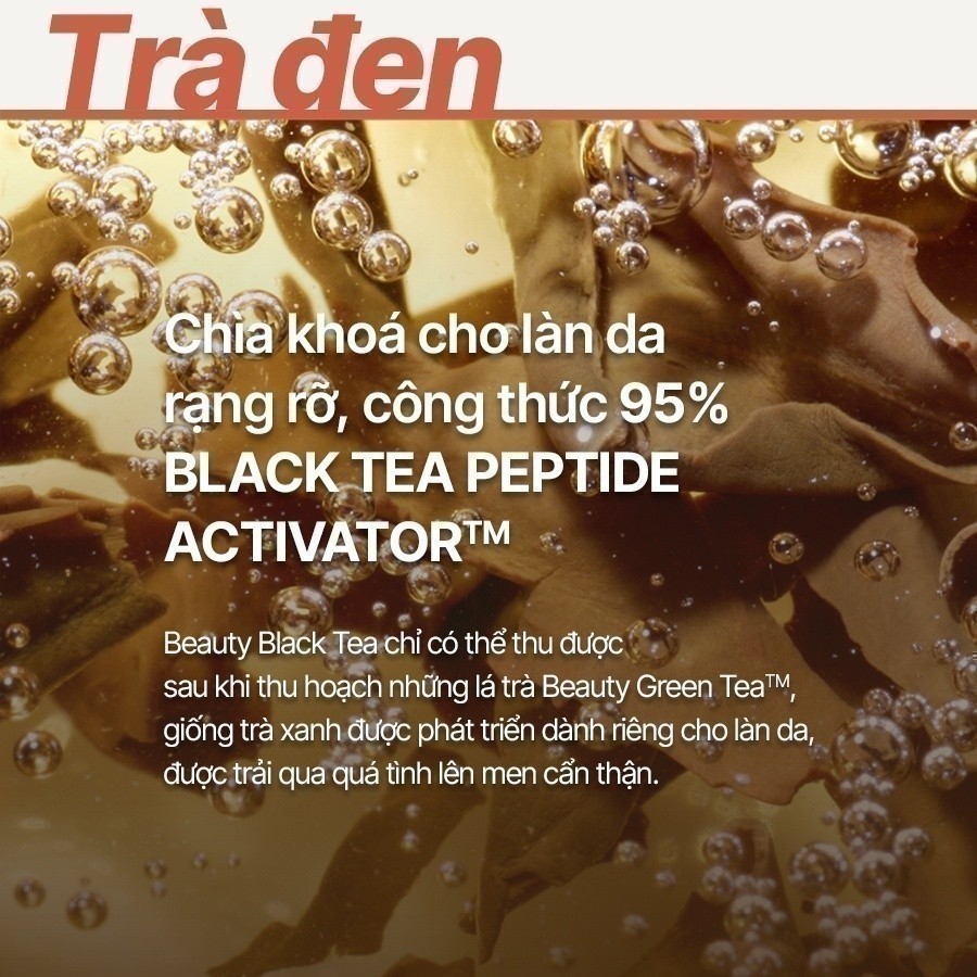 Sữa dưỡng ngăn ngừa lão hóa từ trà đen innisfree Black Tea Youth Enhancing Lotion 170ml