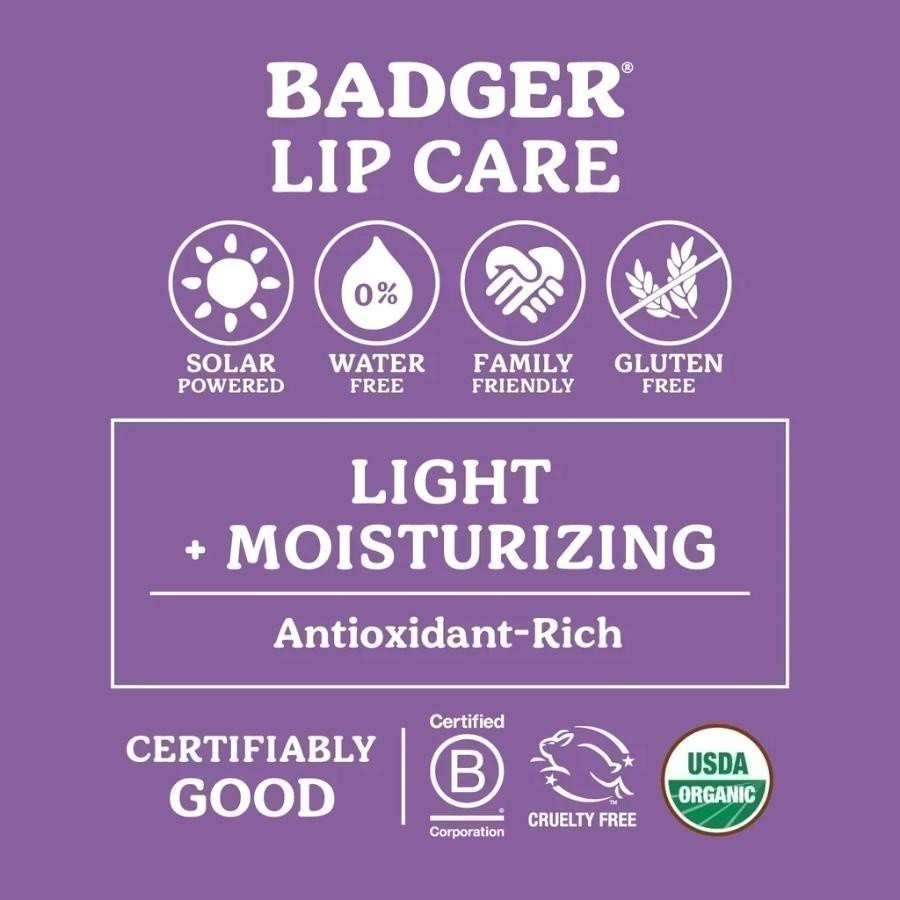 Ảnh Son dưỡng môi hữu cơ BADGER Tangerine Breeze Lip Balm USDA Organic - 4.2g 2