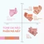 Phấn má hồng mịn lì Code Glokolor Mood Touch Blusher 3.5g