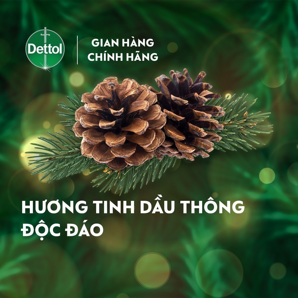 Ảnh Combo 2 nước rửa tay Dettol kháng khuẩn hương tinh dầu thông - chai 250g 3