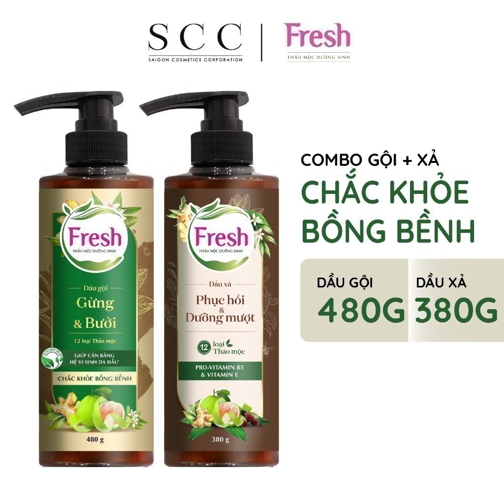 Ảnh Phiên bản mới - Combo Dầu gội + Dầu xả Fresh Thảo mộc dưỡng sinh Chắc khỏe bồng bềnh 480g + Phục hồi và Dưỡng mượt 380g 4