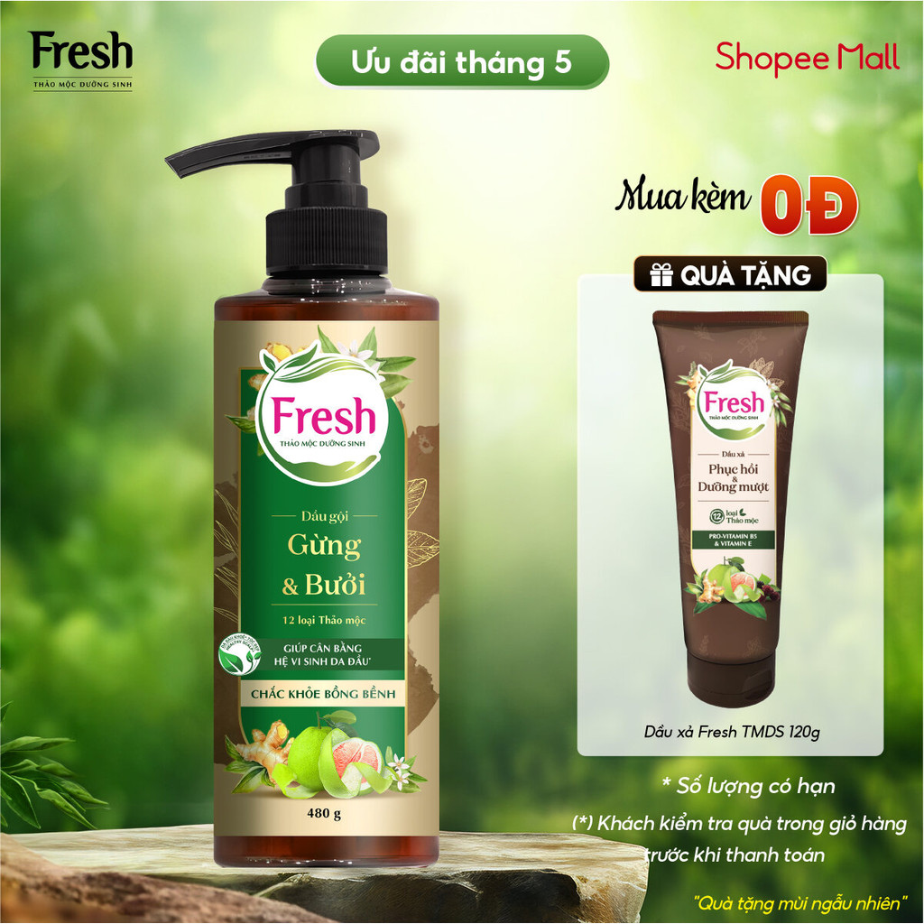 Ảnh Phiên bản mới - Dầu Gội Fresh Thảo Mộc Dưỡng Sinh 480g (Sạch Gàu Mềm Mượt / Chắc Khỏe Bồng Bềnh) 1