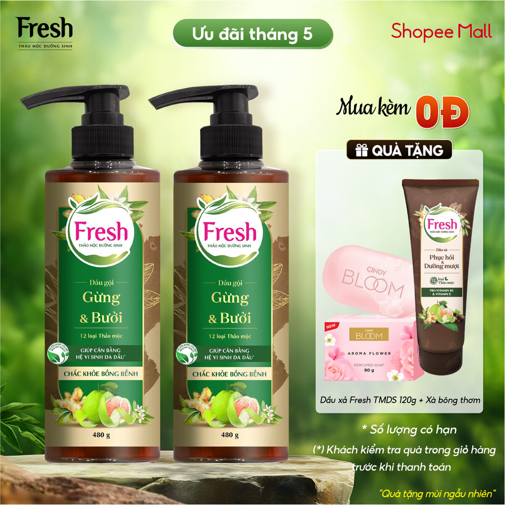 Ảnh Phiên bản mới - Combo 2 Dầu gội Fresh Thảo Mộc Dưỡng Sinh - Chắc khỏe bồng bềnh 480g/chai 1