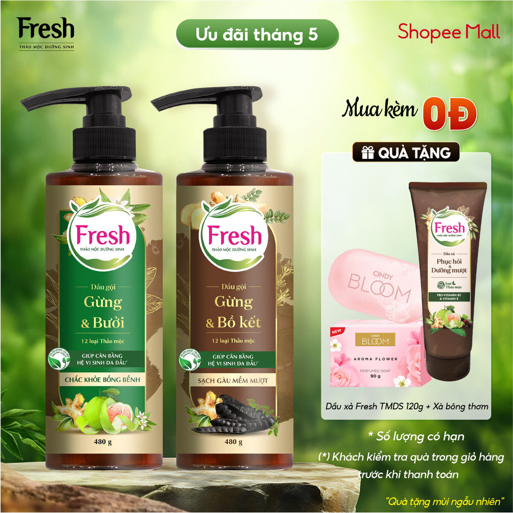 Ảnh Phiên bản mới - Combo 2 chai Dầu gội Fresh Thảo Mộc Dưỡng Sinh - Sạch gàu + Chắc khỏe 480g/chai 1