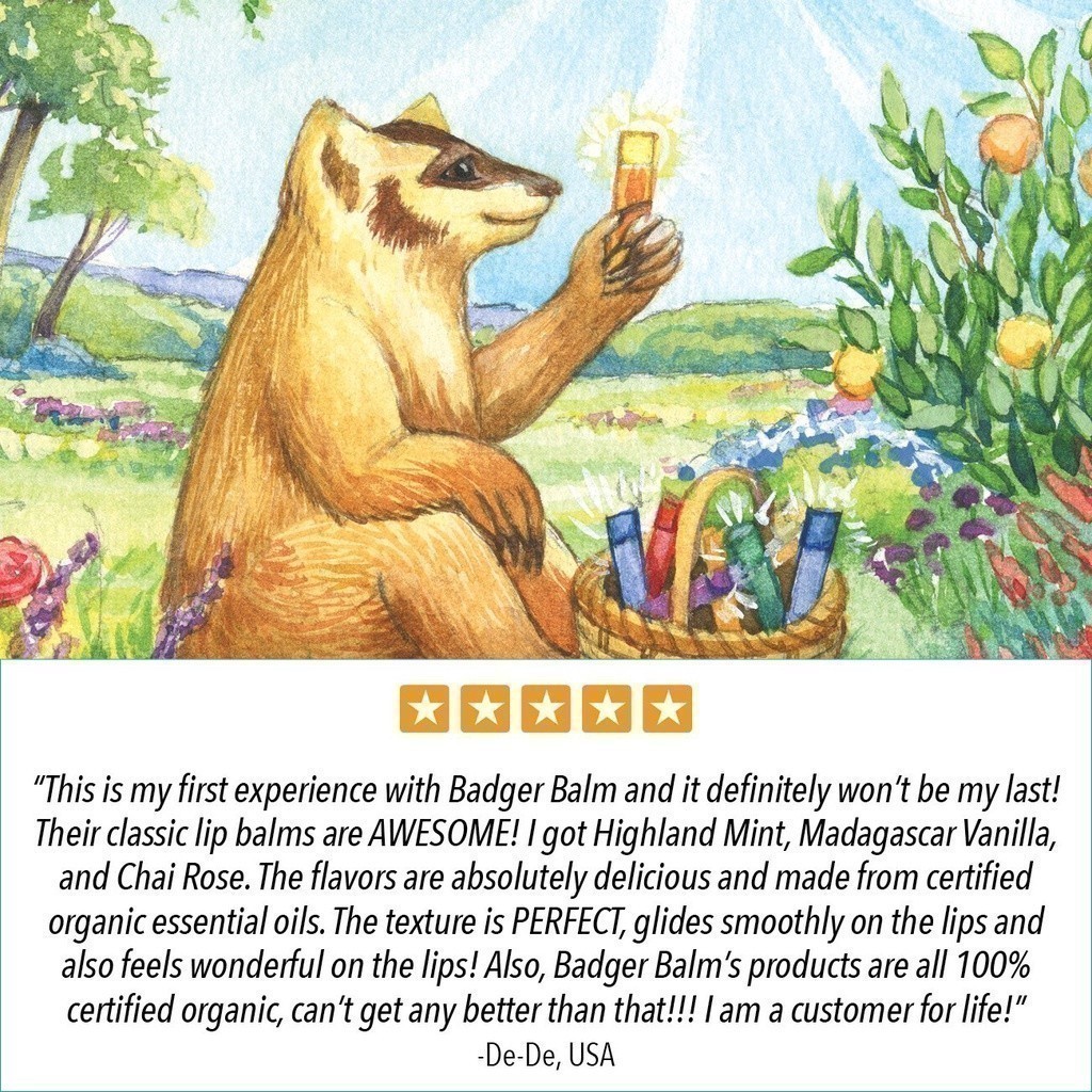 Ảnh Son dưỡng môi hữu cơ Vanilla Madagascar BADGER Lip Balm USDA Organic - 4.2g 1