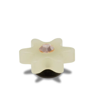 Phụ kiện Jibbitz™ Charm Tan Acrylic Flower With Gem