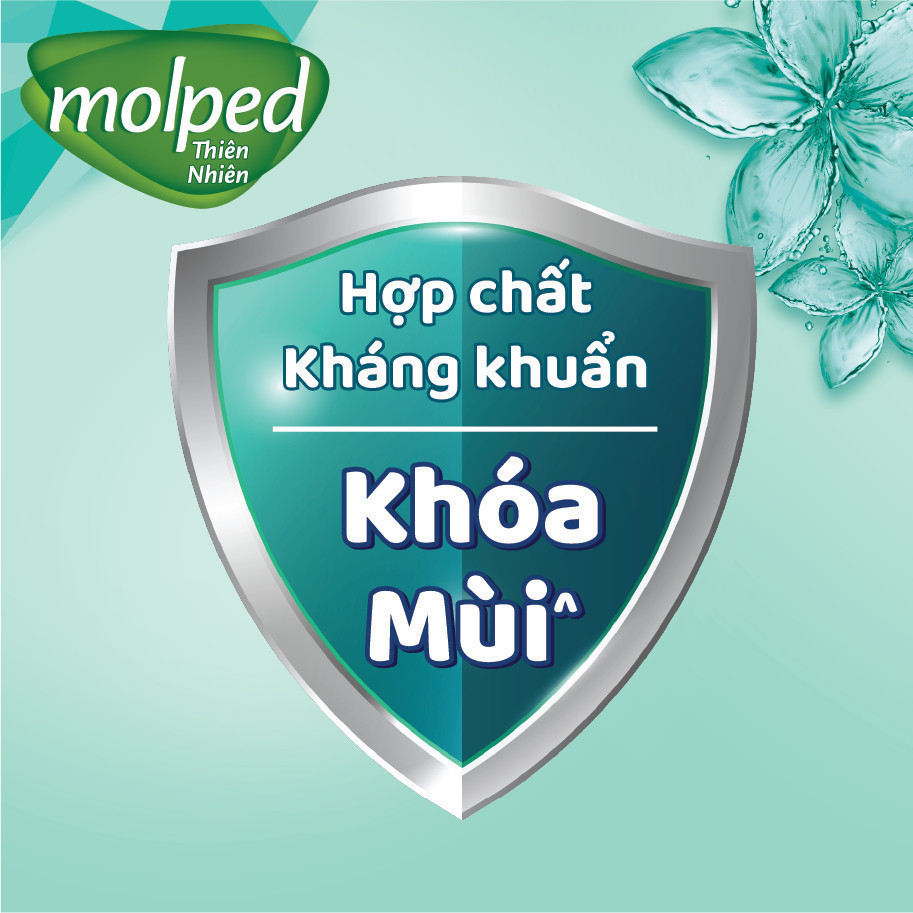 Ảnh Combo 8 Gói Băng vệ sinh Molped thiên nhiên Kháng khuẩn Siêu mỏng có cánh 23cm (GÓI 8 MIẾNG) 4