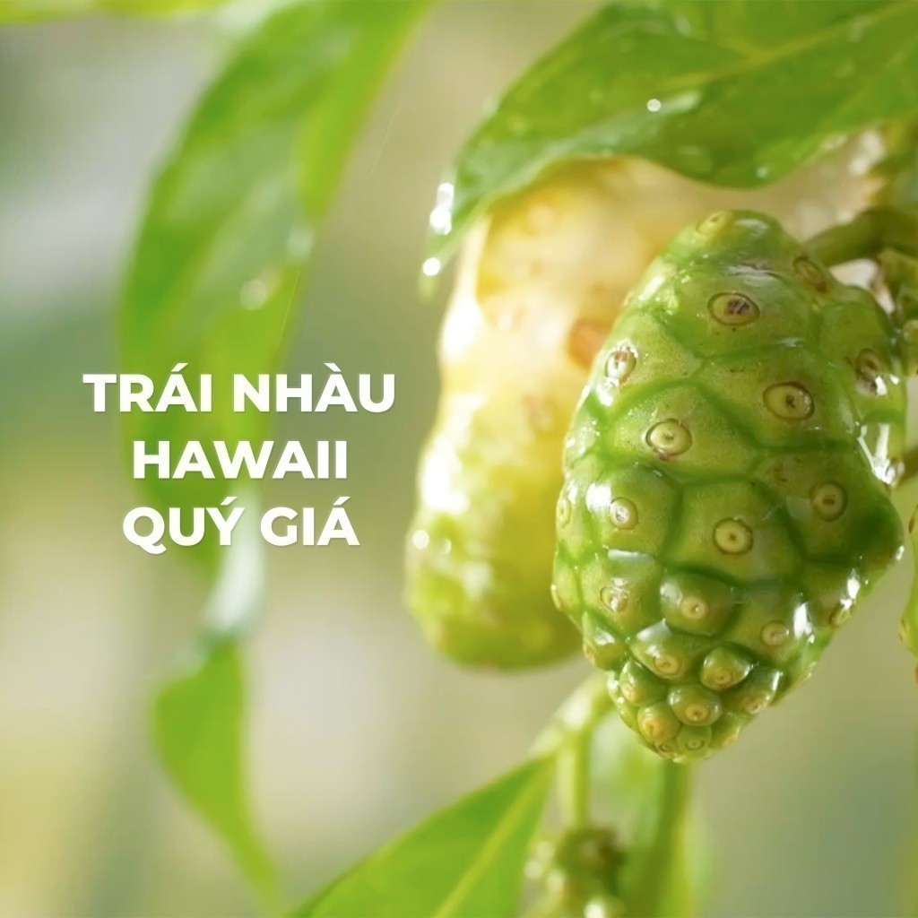 Ảnh Sữa tắm NATUFRÈS Hawaiian Breeze Muối Biển và Trái Nhàu - Giúp giảm mụn, ngăn ngừa mụn cơ thể 250ml,450ml 2