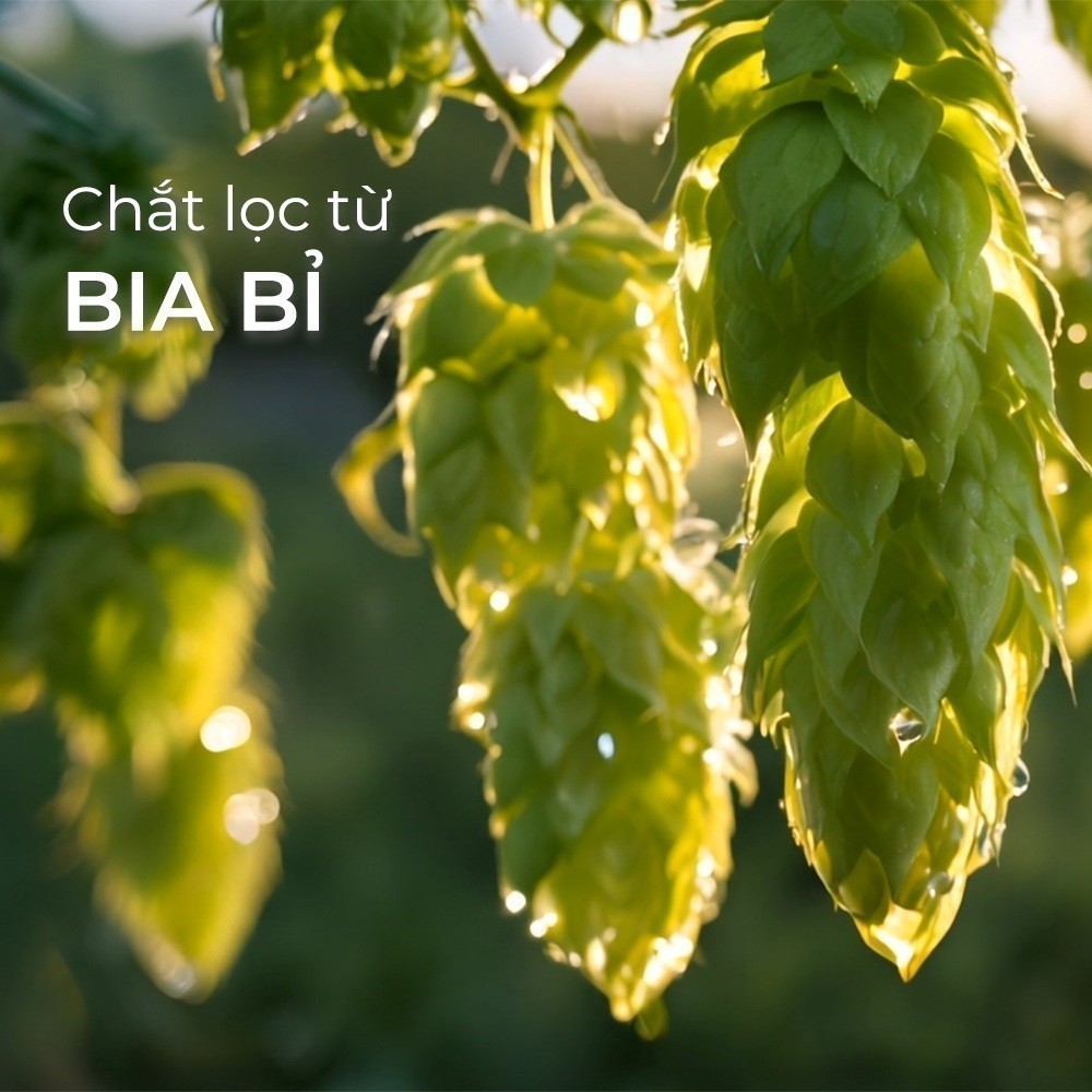Ảnh Sữa tắm NATUFRÈS Belgian Favorite Chiết Xuất Từ Bia Bỉ - Sáng da, cấp ẩm, trẻ trung rạng rỡ 250ml,450ml 2