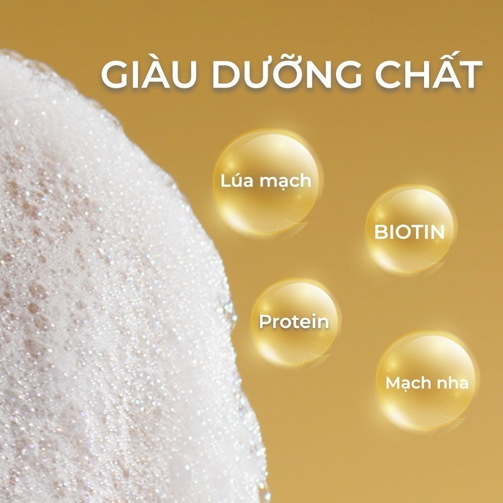 Ảnh Sữa tắm NATUFRÈS Belgian Favorite Chiết Xuất Từ Bia Bỉ - Sáng da, cấp ẩm, trẻ trung rạng rỡ 250ml,450ml 3