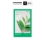 Mặt nạ giấy dưỡng da Hàn Quốc Trà Xanh innisfree Green Tea Energy Mask 22ml