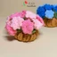 Đế lót ly hoa chuông, hoa hồng bằng len handmade xinh xắn trang trí bàn, có chậu thấm nước