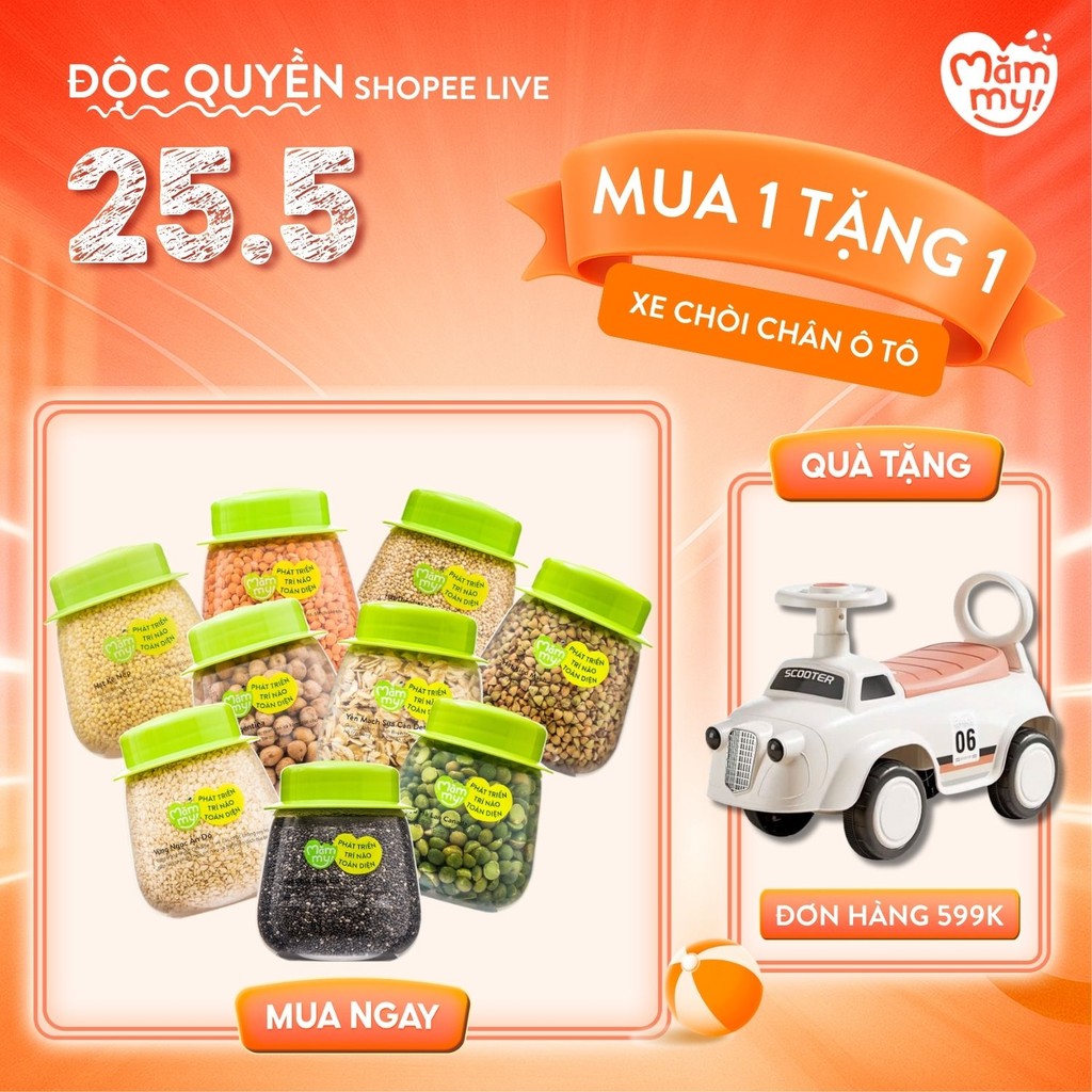 Ảnh Tổng hợp hạt ăn dặm hữu cơ Mămmy loại 1 cho bé gồm hạt đậu lăng, đậu gà, diêm mạch, kiều mạch, kê nếp, yến mạch... 1