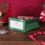 Túi giấy đựng quà họa tiết Giáng sinh dán nổi TU09 hình tuần lộc ông Già noel dày dặn