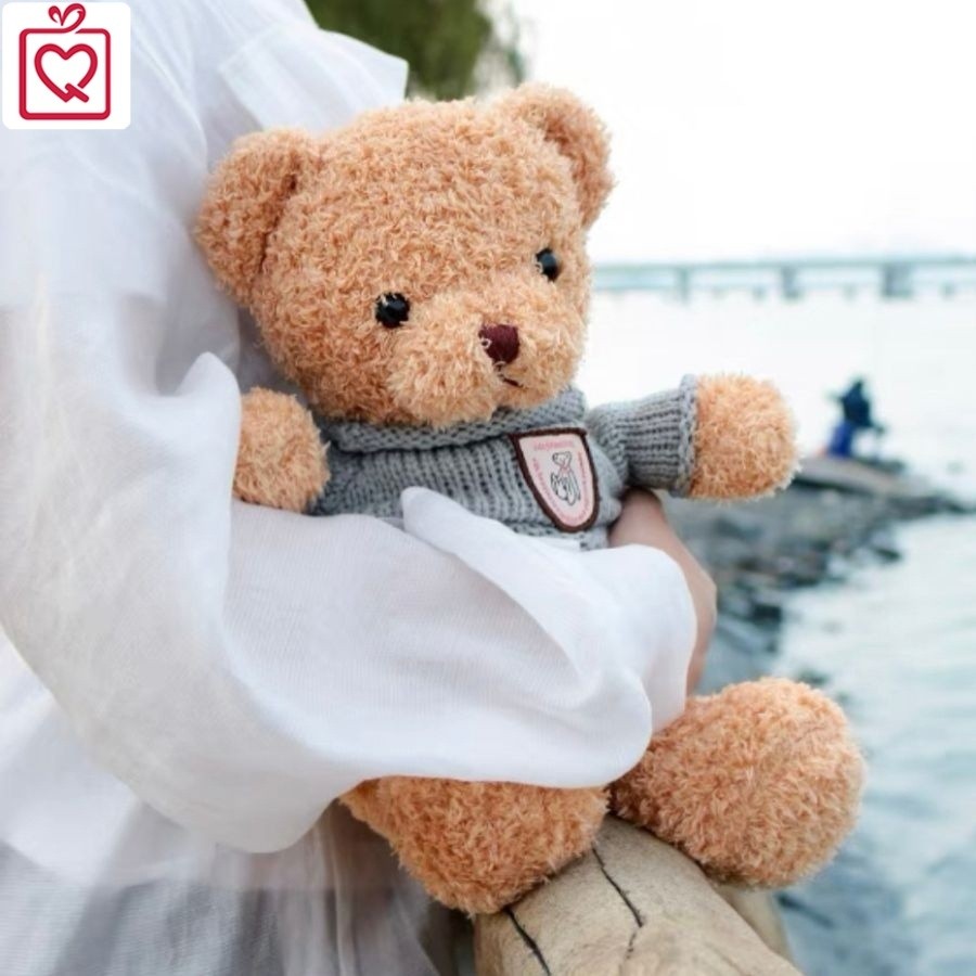 Gấu bông Teddy bear áo len, Gấu nâu đáng yêu áo xám