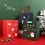 Túi quà Giáng Sinh ông già noel bằng giấy 23x18cm đựng quà tặng nhiều mẫu