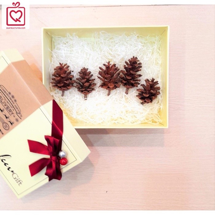 Hộp đựng quà giáng sinh Luvgift màu trắng sữa kèm túi, phụ kiện quả thông, rơm giấy lót, đèn led
