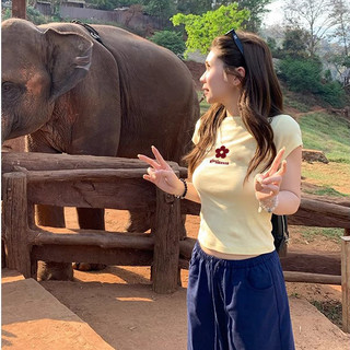 áo thun nữ vàng chanh ôm body mùa hè baby tee  Eleclassm  hàn quốc style áo phông local brand