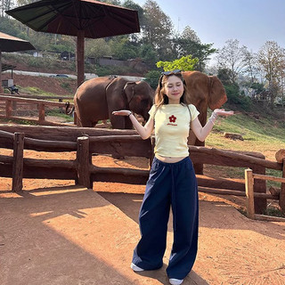 áo thun nữ vàng chanh ôm body mùa hè baby tee  Eleclassm  hàn quốc style áo phông local brand