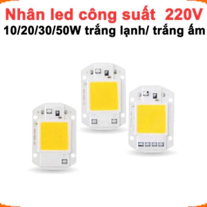 LED COB 220V công suất 10/20/30/50W siêu sáng