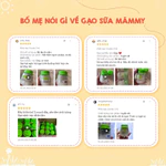 Combo 6 hũ gạo sữa Mămmy chuyên dùng nấu cháo ăn dặm cho bé từ 6 tháng 140gr/ hũ — ảnh 5