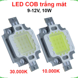 LED COB ánh sáng trắng mát công suất 12V 10W 600mA 10000K / 30000K