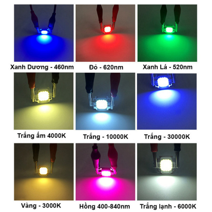 LED COB ánh sáng trắng mát công suất 12V 10W 600mA 10000K / 30000K