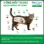 NexGard COMBO - Ống nhỏ gáy phòng nội, ngoại ký sinh dành cho mèo - 1 hộp 3 ống