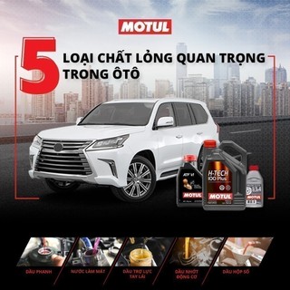 Dầu hợp số tự động xe ô tô MOTUL ATF VI 1L