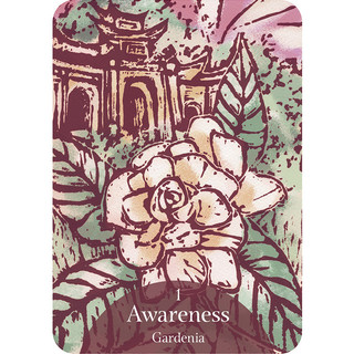 Bộ Bài Language of Flowers Oracle (Mystic House Tarot Shop) - Bài Gốc Authentic Chính Hãng 100%