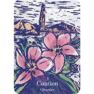 Bộ Bài Language of Flowers Oracle (Mystic House Tarot Shop) - Bài Gốc Authentic Chính Hãng 100%